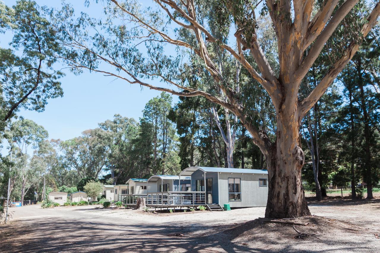 Eildon Pondage Holiday Park Dış mekan fotoğraf